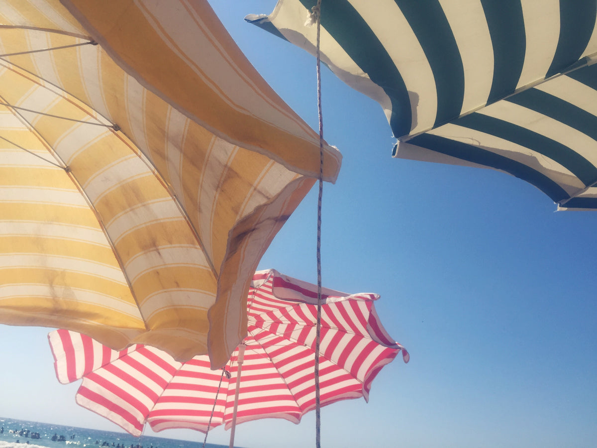 Summer Daydream